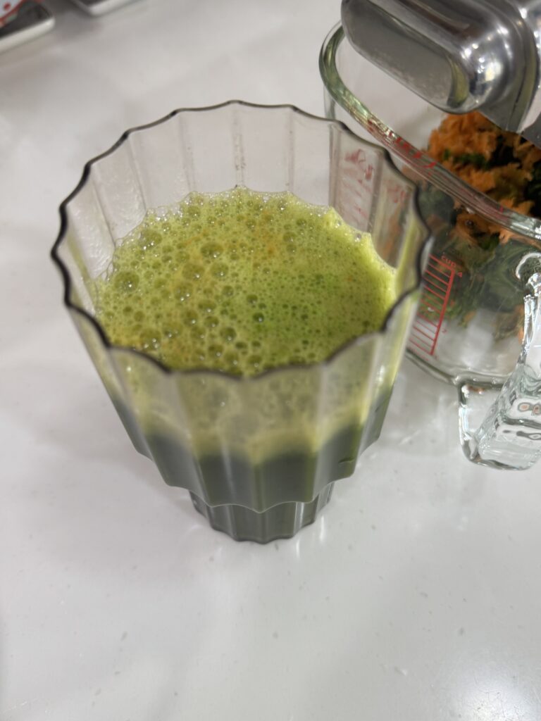 디스크 디톡스 녹즙 - 달큰한 맛